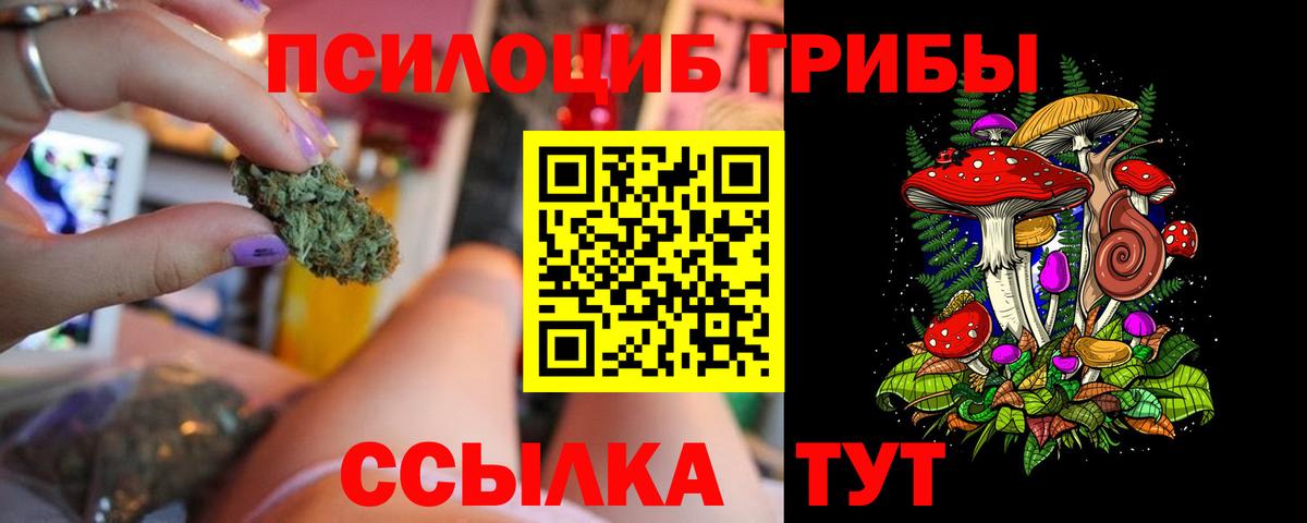 Псилоцибиновые грибы Psilocybine cubensis  Вход с VPN  Анапа 